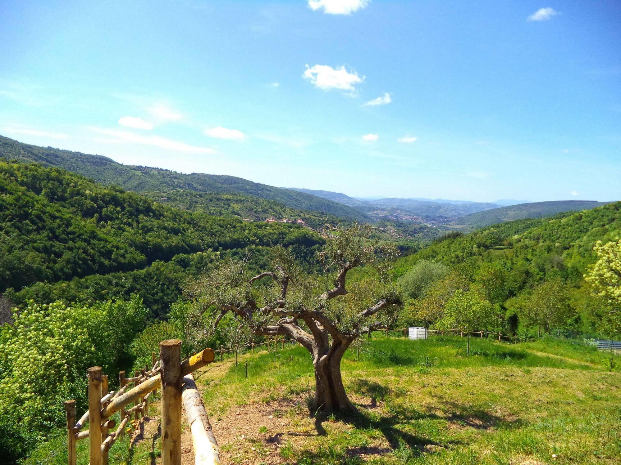 Alba Dei Due Soli B&B Nocera Umbra Dış mekan fotoğraf